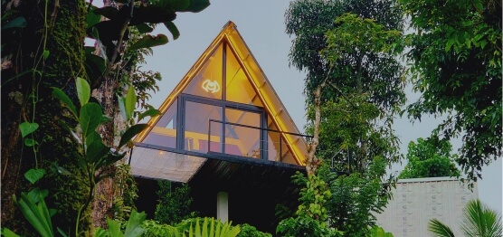 listing_type