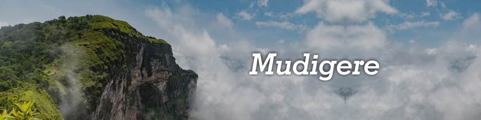 Resorts and Homestays In Mudigere